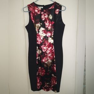 Women's dress, Size 8P